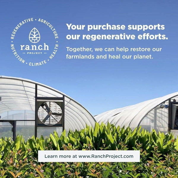 Ancient Nutrition Multi Collagen Brain Boost - 90 Count - Glam Global UKAncient Nutrition