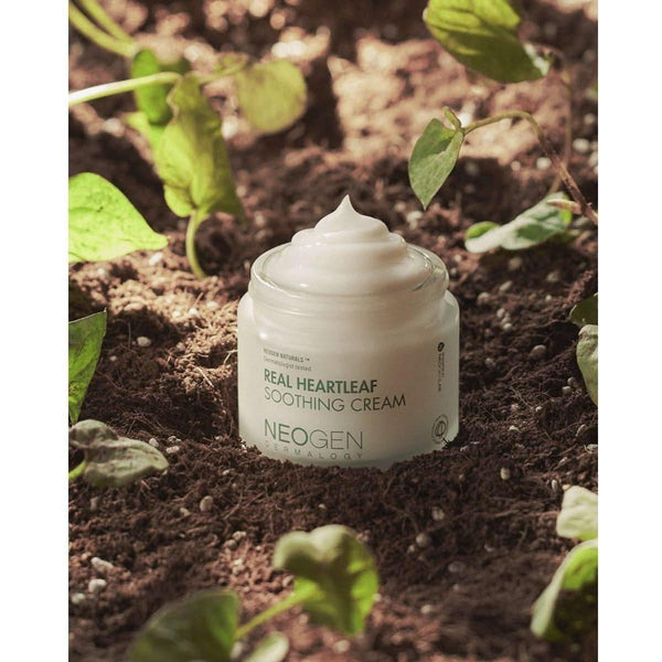 NEOGEN Real Heartleaf Soothing Cream - 80g - Glam Global UKNEOGEN