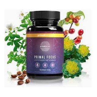 Primal Harvest Primal Mind Fuel Brain Booster - 30 Capsules - Glam Global UKPrimal Harvest