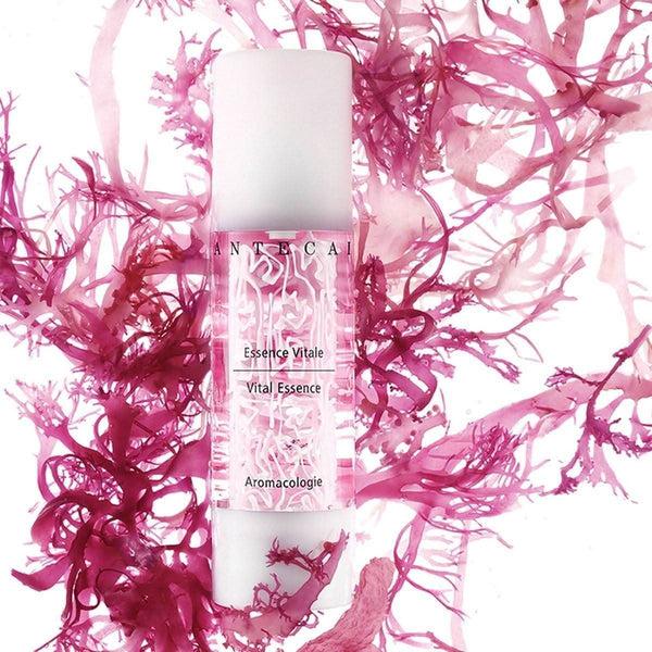 Vital Essence Face and Eye Serum - Glam Global UKChantecaille