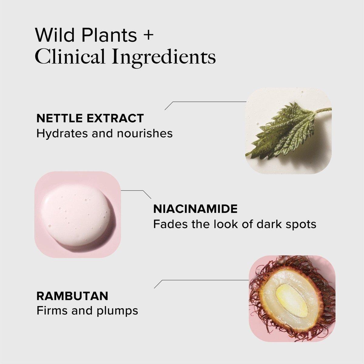 Wild Nettle and Niacinamide Firming Serum - Glam Global UK